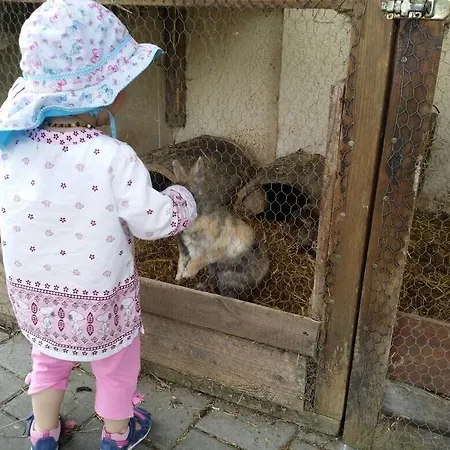 柔斯勒旅馆 宾馆